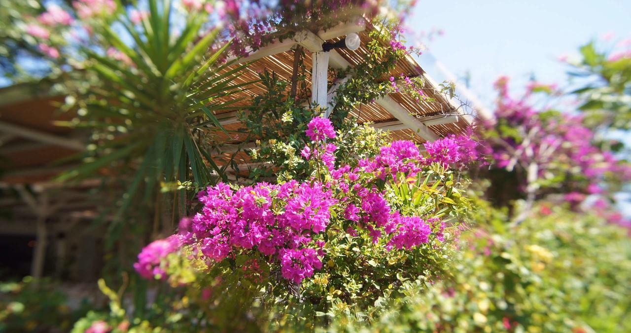 Dreams4You Lambi (Kos) Exterior foto
